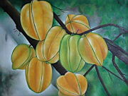 �o���G��@�M�т̉ԁ@