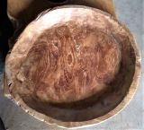 �ؒ�����������@������