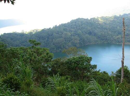 �^���u�����K���΂ƃu������