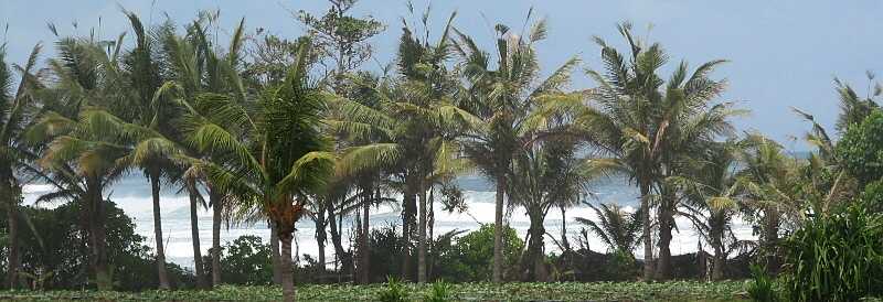 �k�K���X���̊C�ݕ��i