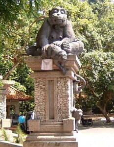 �E�u�h�̃����L�[�t�H���X�g�����̃u�f�B�A�i����i