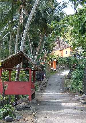 ���V���s�[�X�̉Ɓi���̉��j