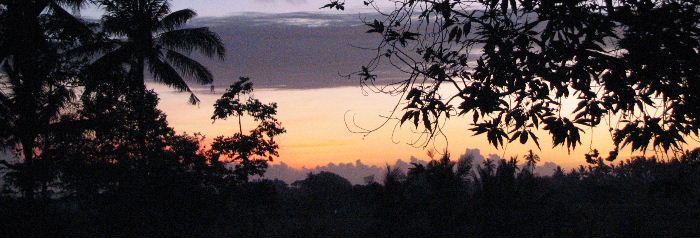 �[���̃v�l�X�^�i����