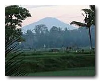 �E�u�h�ߍx�̃o�g�E���E�ΎR