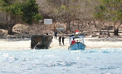 �����W�����K�����̕l��