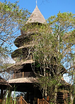 ���������������̃��X�g����