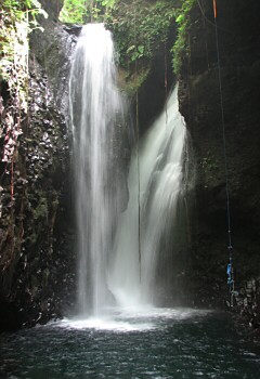 �c�C���t�H�[���i�M�b�M�b�̑�j