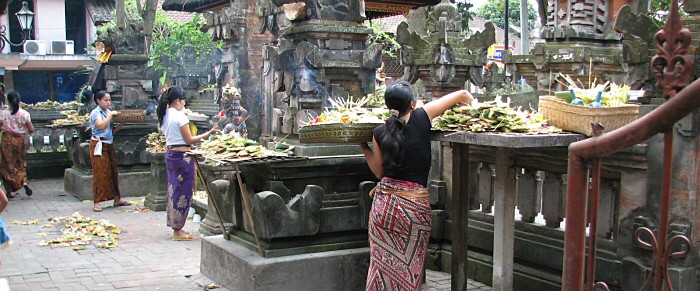 �E�u�h�s��̎��@���i