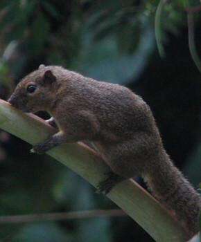 ���q���X