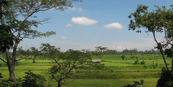 �o�����v�l�X�^�i����