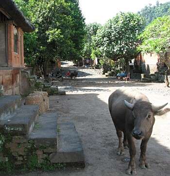 �g�E�K�i�����̌��i