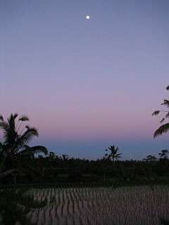 �o�����̗[���