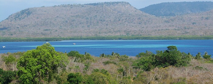 �W�����C���Ɛ�����������