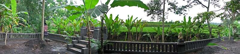 ��̊����ʐ^�i�����p�m���}�j