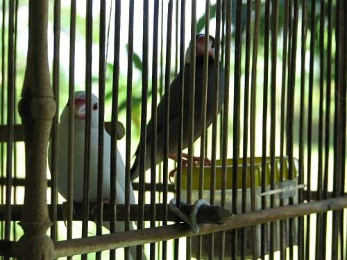 �����̃����ƃr��