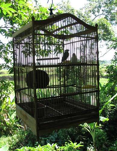 ��H�̕����i�����ƃr���j