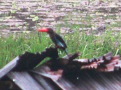 �a��������W�����V���E�r��