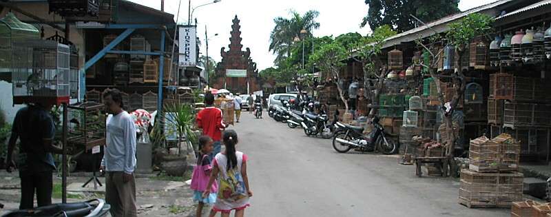 �f���p�T�[���̒��s��