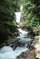 �������������M�M�̑�