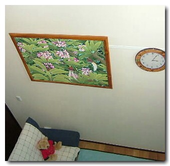 �o���G��̂��镔���@PASEK��i