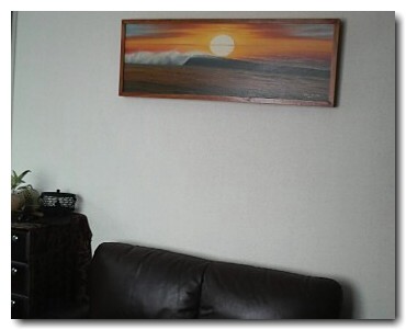 �o���G��@���e�ʐ^