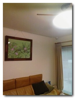 �o���G��@���e�ʐ^